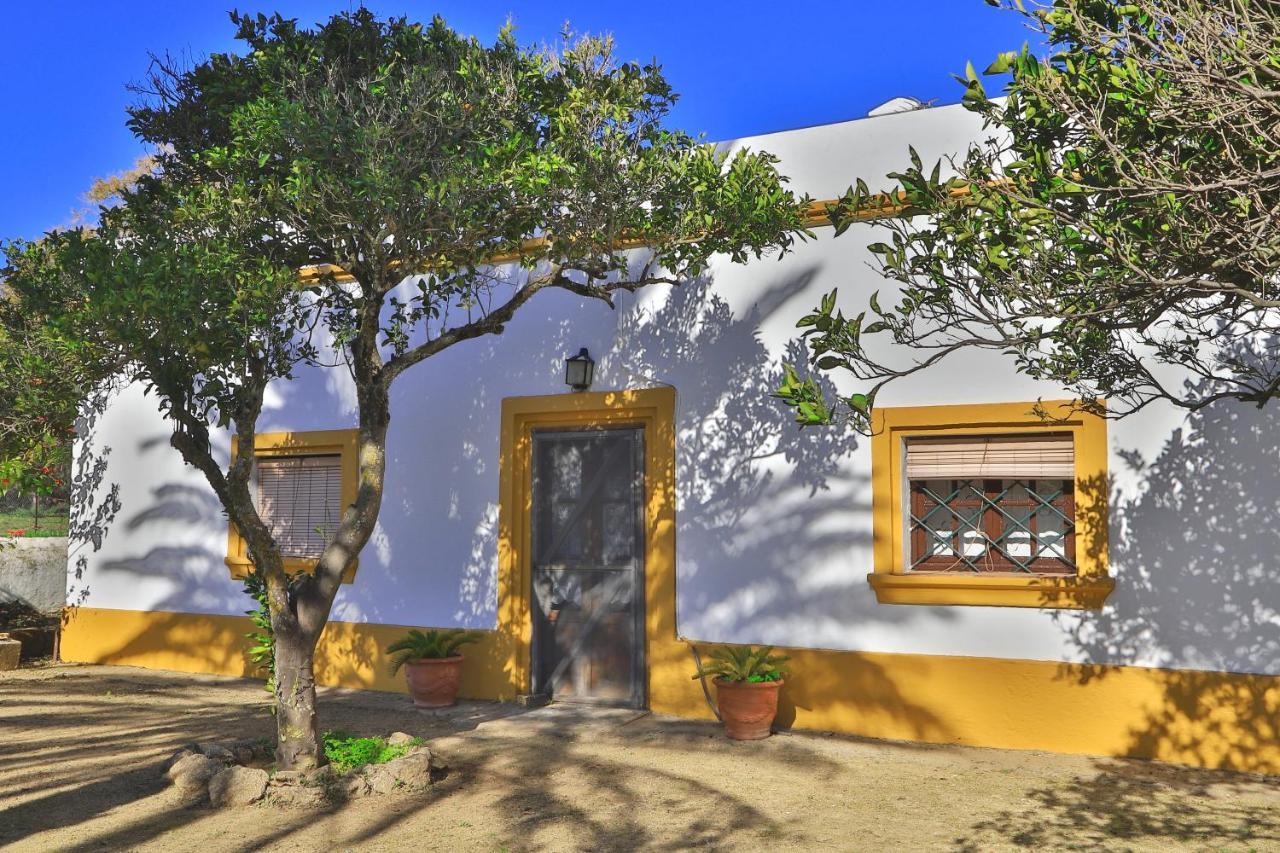 Casa Rural Finca Los Hierros Vejer de la Frontera Exteriör bild