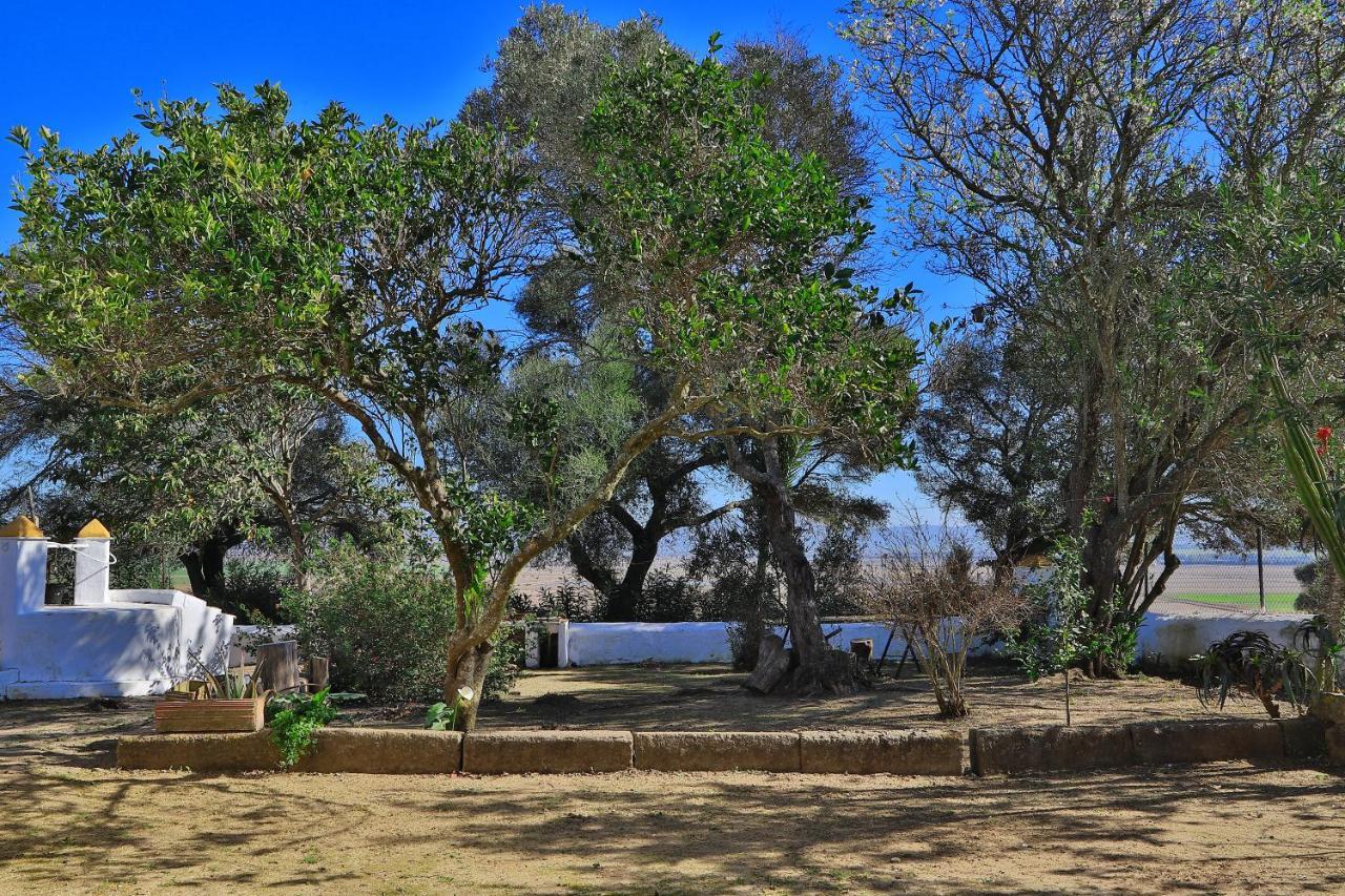 Casa Rural Finca Los Hierros Vejer de la Frontera Exteriör bild