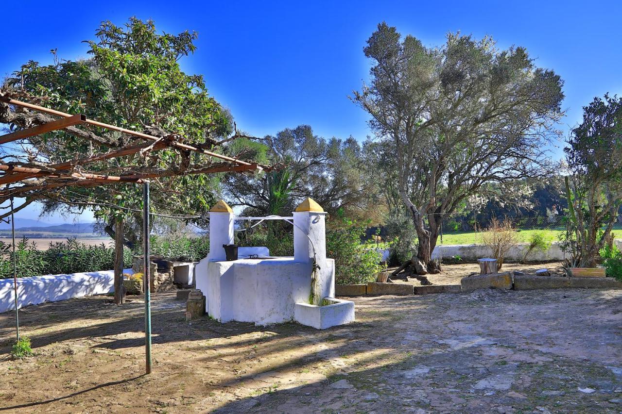 Casa Rural Finca Los Hierros Vejer de la Frontera Exteriör bild