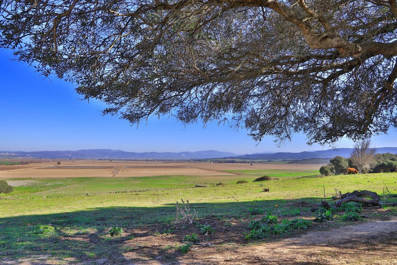 Casa Rural Finca Los Hierros Vejer de la Frontera Exteriör bild