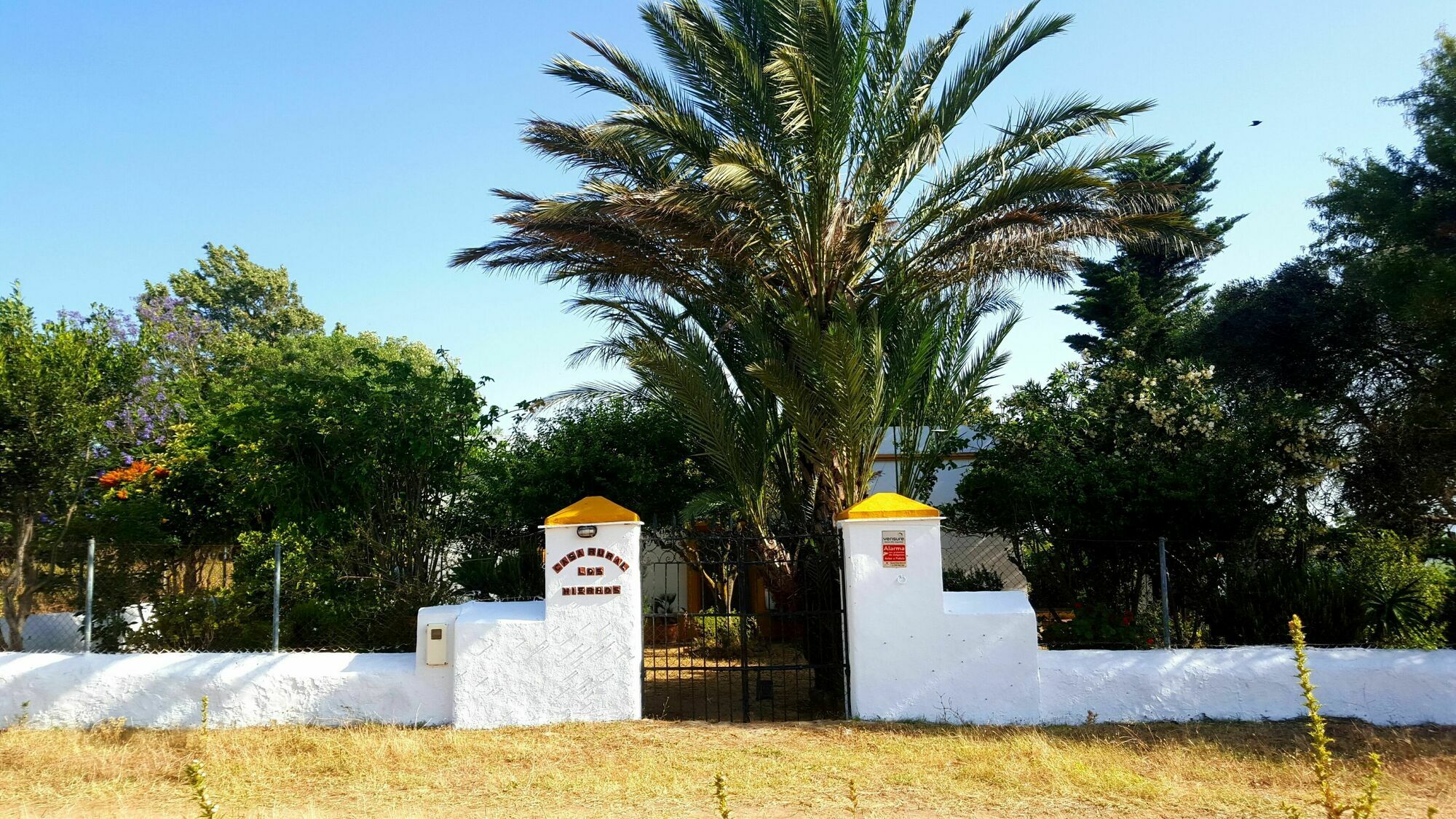 Casa Rural Finca Los Hierros Vejer de la Frontera Exteriör bild