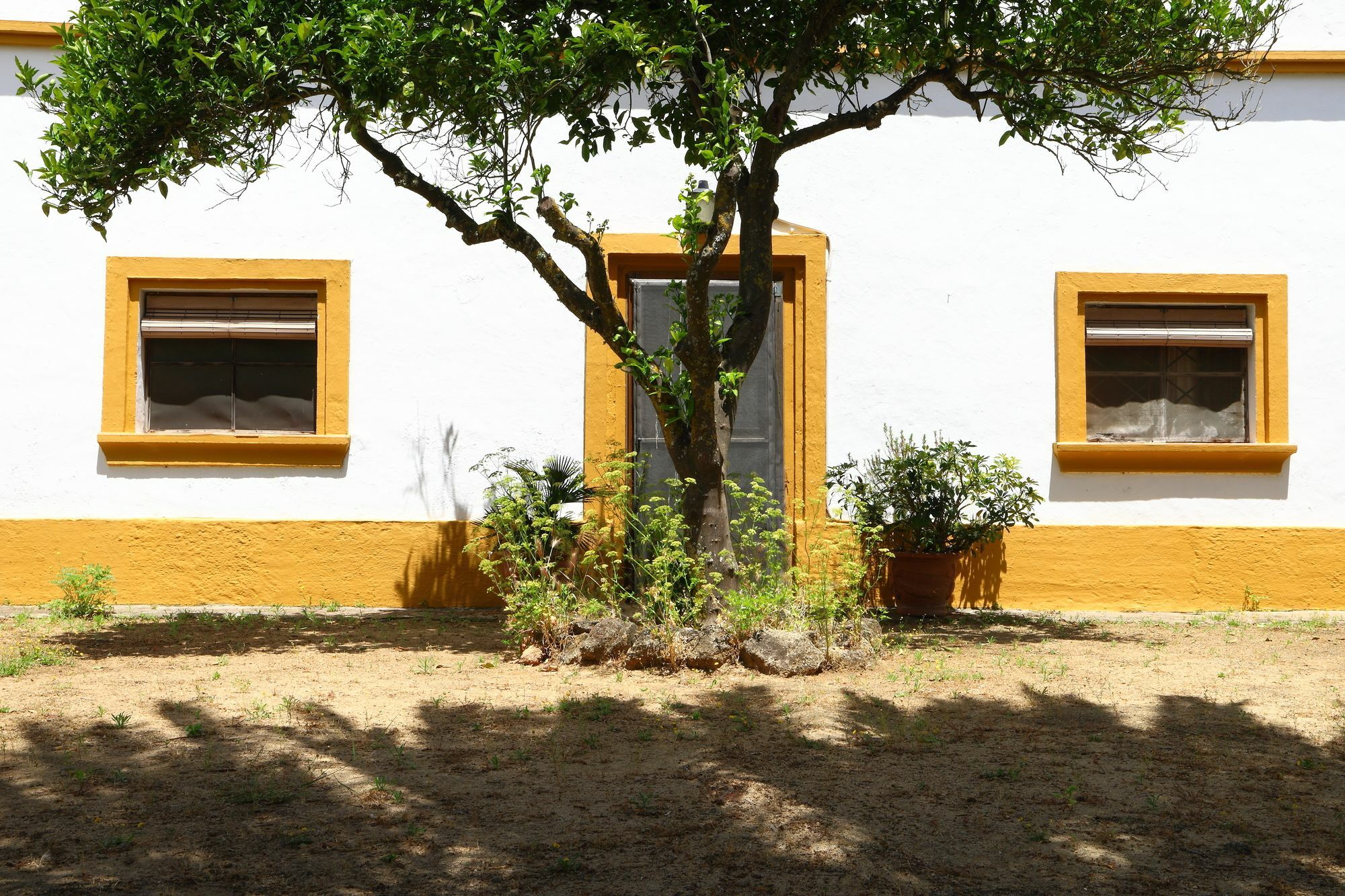 Casa Rural Finca Los Hierros Vejer de la Frontera Exteriör bild